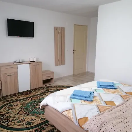 Guest house Casa Boiceana Boita